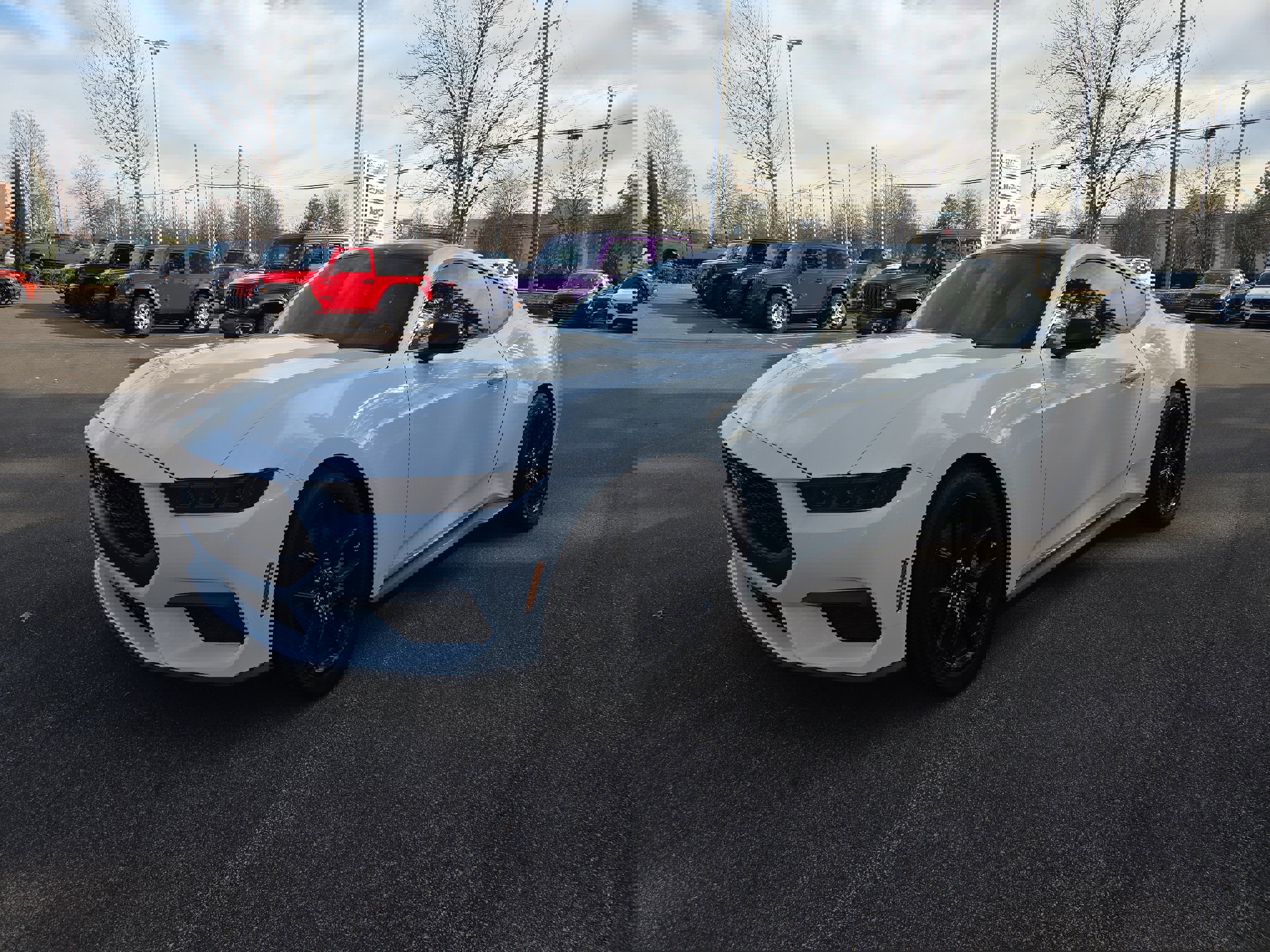 Used 2024 Ford Mustang Premium w/ Mustang Nite Pony Package