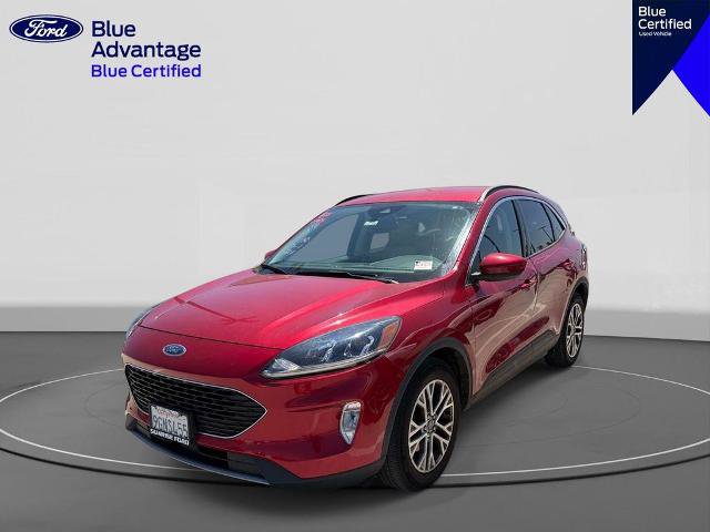 Certified 2022 Ford Escape SEL w/ Technology Package FWD image 3