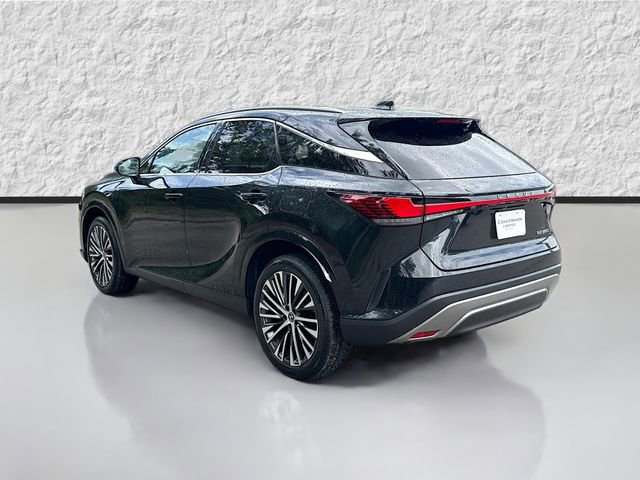 Used 2023 Lexus RX 350 Premium Plus w/ Cold Area Package image 5