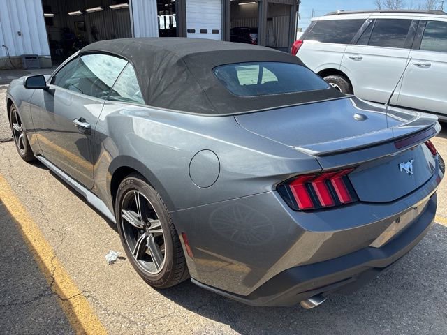 Used 2024 Ford Mustang Premium image 4