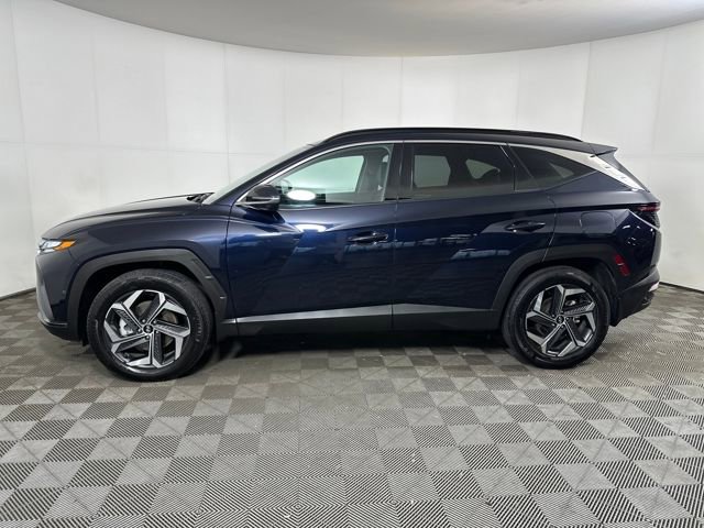 Used 2023 Hyundai Tucson Limited image 6