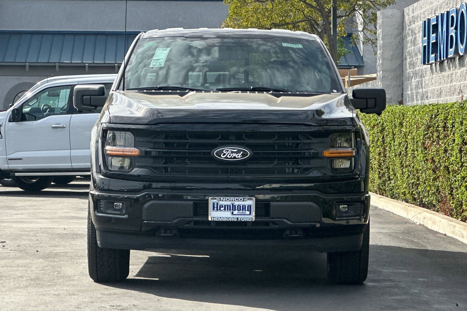 New 2025 Ford F150 XLT w/ Equipment Group 302A MID image 9