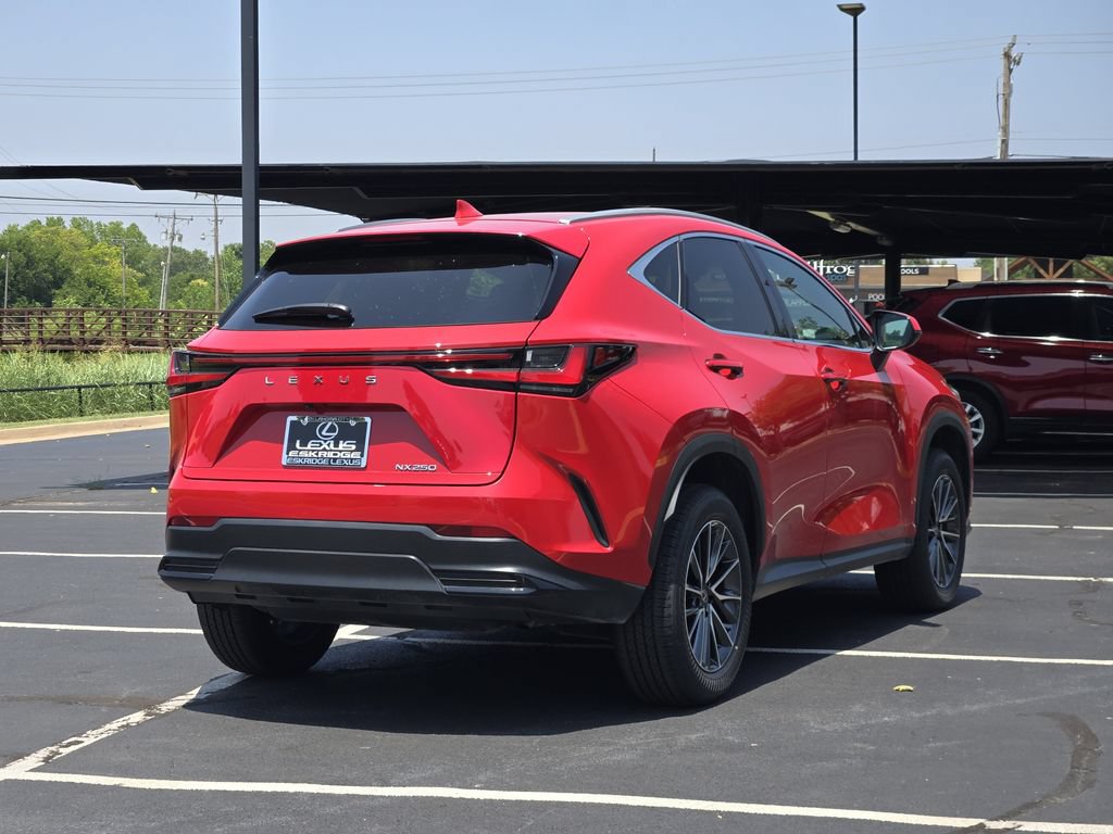 Used 2024 Lexus NX 250 FWD image 7