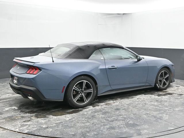 Used 2024 Ford Mustang Premium image 11