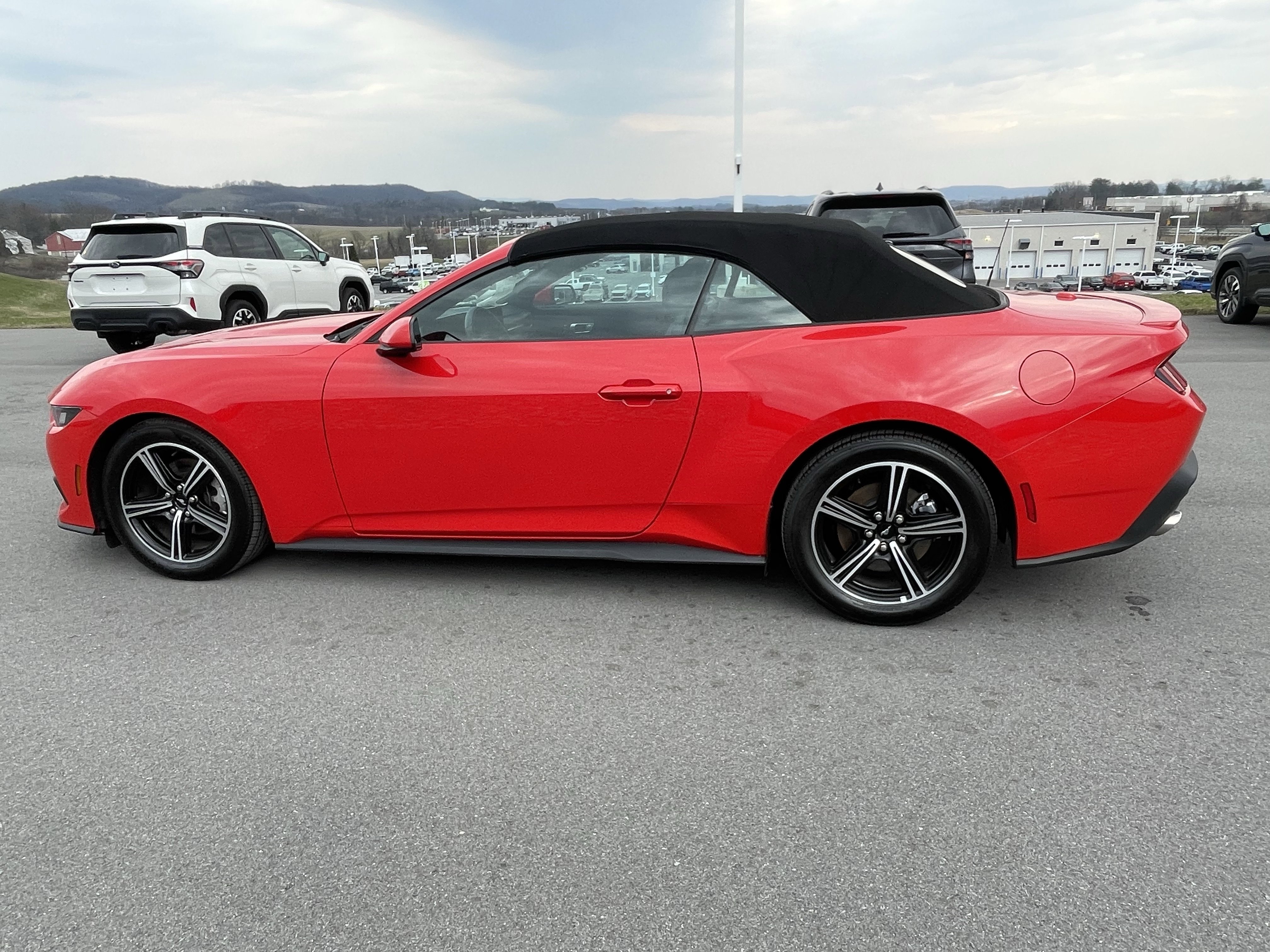 Used 2025 Ford Mustang Premium image 7