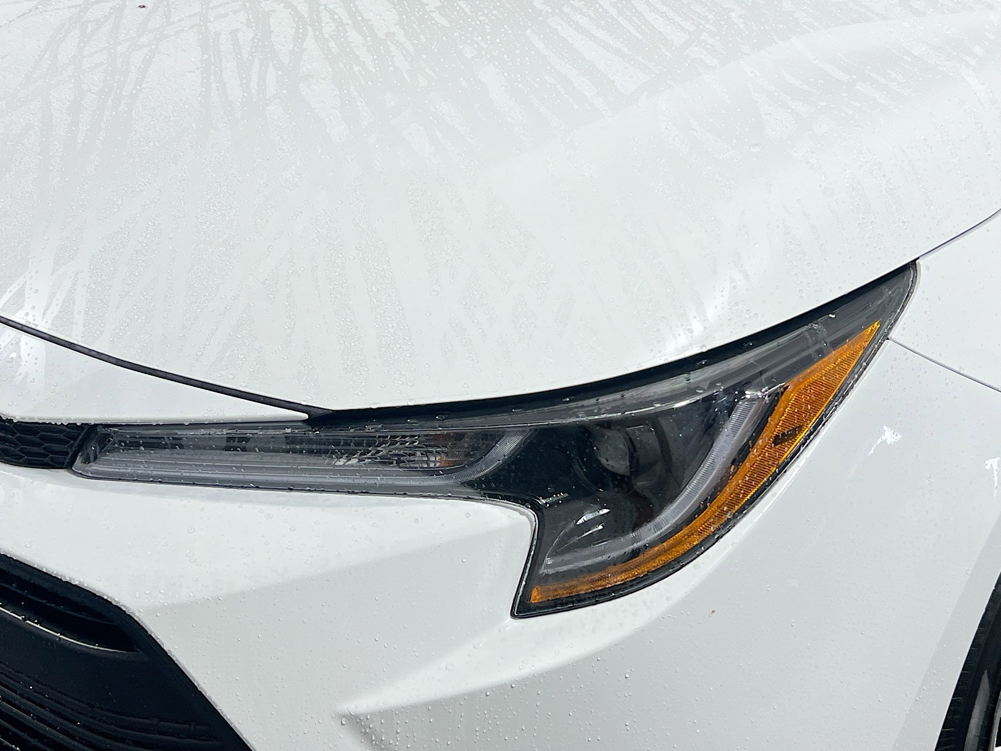 Used 2025 Toyota Corolla LE image 11