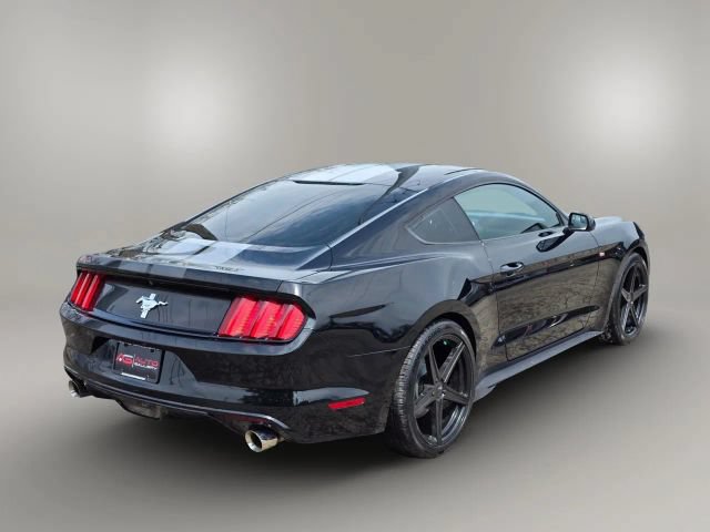 Used 2017 Ford Mustang Coupe w/ Equipment Group 051A RWD image 5