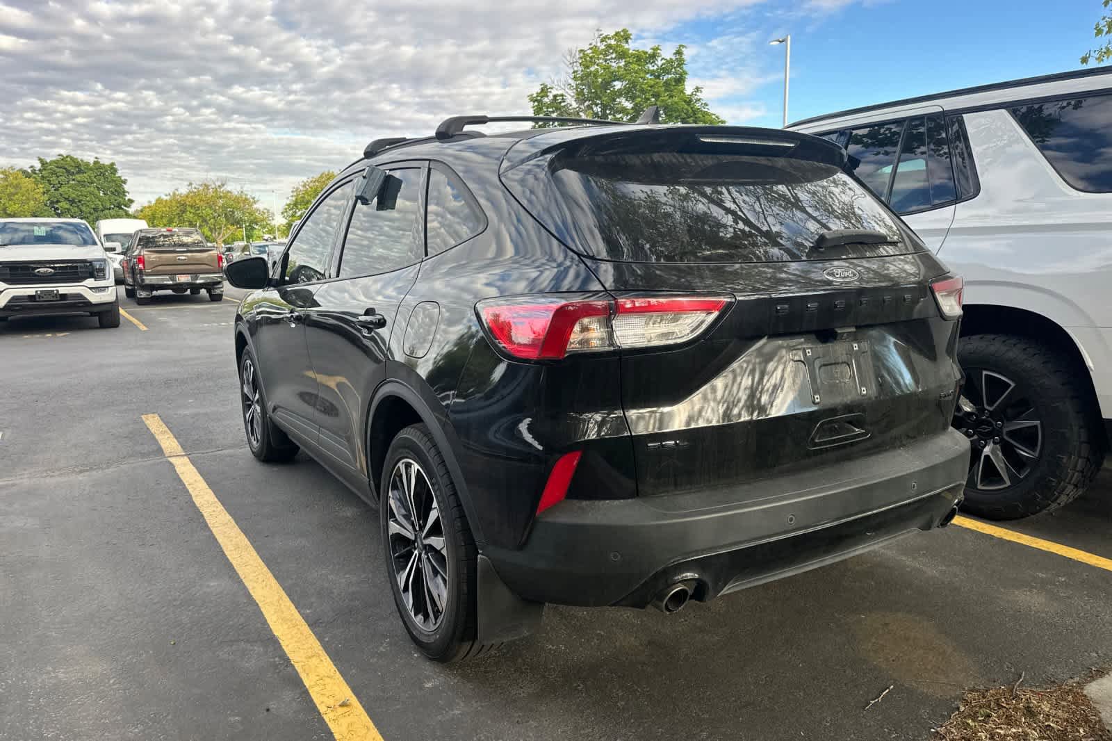 Used 2022 Ford Escape SEL w/ SEL Stealth AWD Package image 6