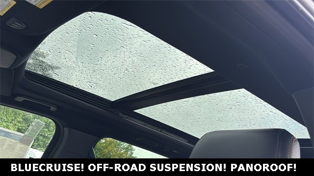 New 2025 Ford Expedition Tremor image 7