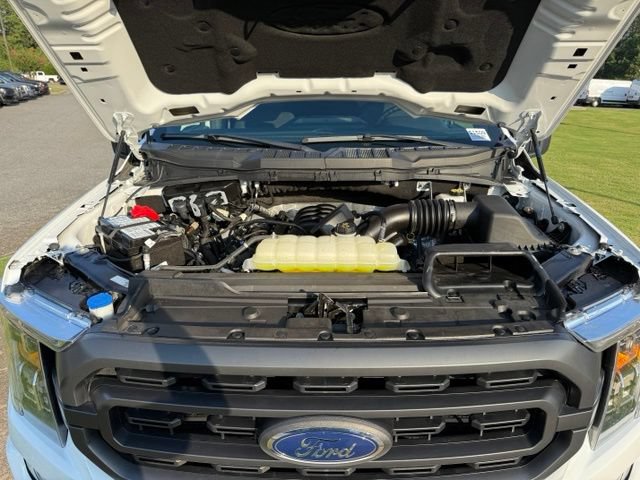 Used 2023 Ford F150 XLT w/ Equipment Group 302A High RWD image 31
