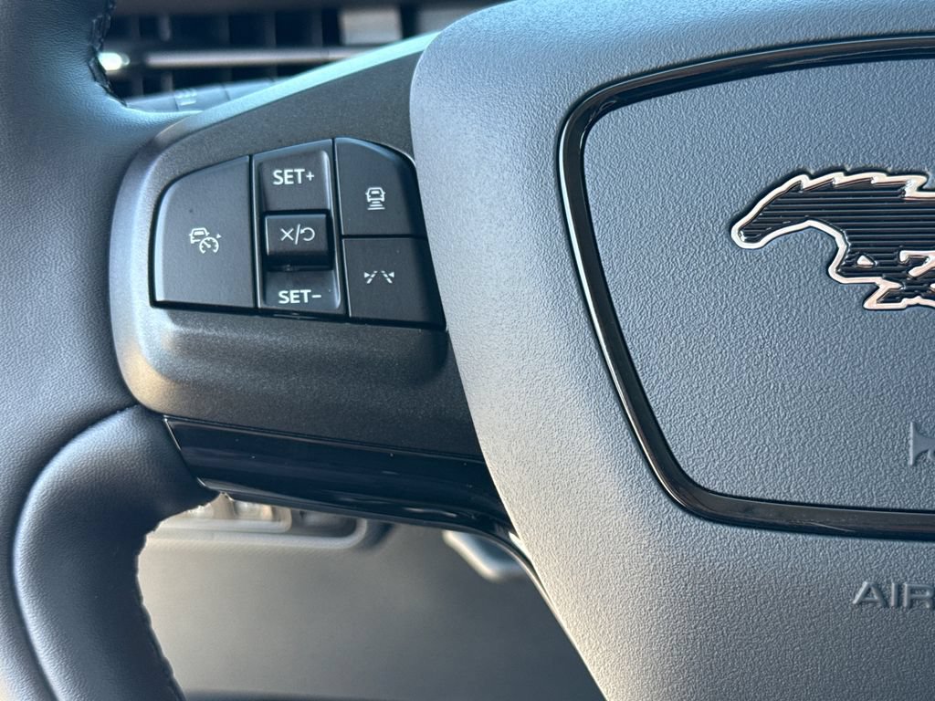 Used 2025 Ford Mustang Mach-E Premium RWD image 16