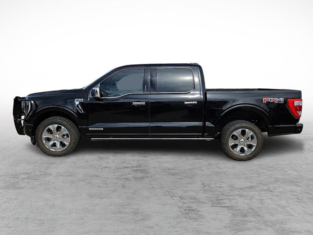 Used 2021 Ford F150 Platinum w/ Equipment Group 701A High AWD/4WD image 6