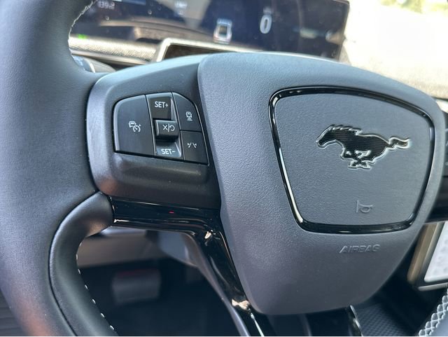 New 2025 Ford Mustang Mach-E GT w/ Interior Protection Package image 24