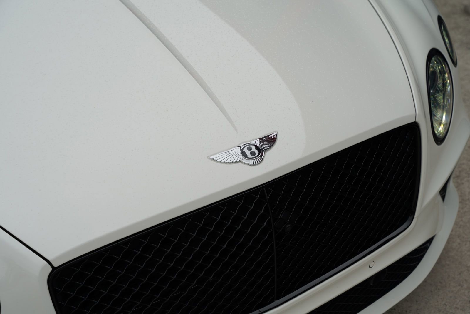 Used 2022 Bentley Continental GT Speed image 13