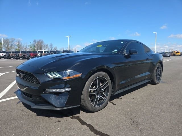 Used 2019 Ford Mustang Coupe w/ Equipment Group 101A image 2