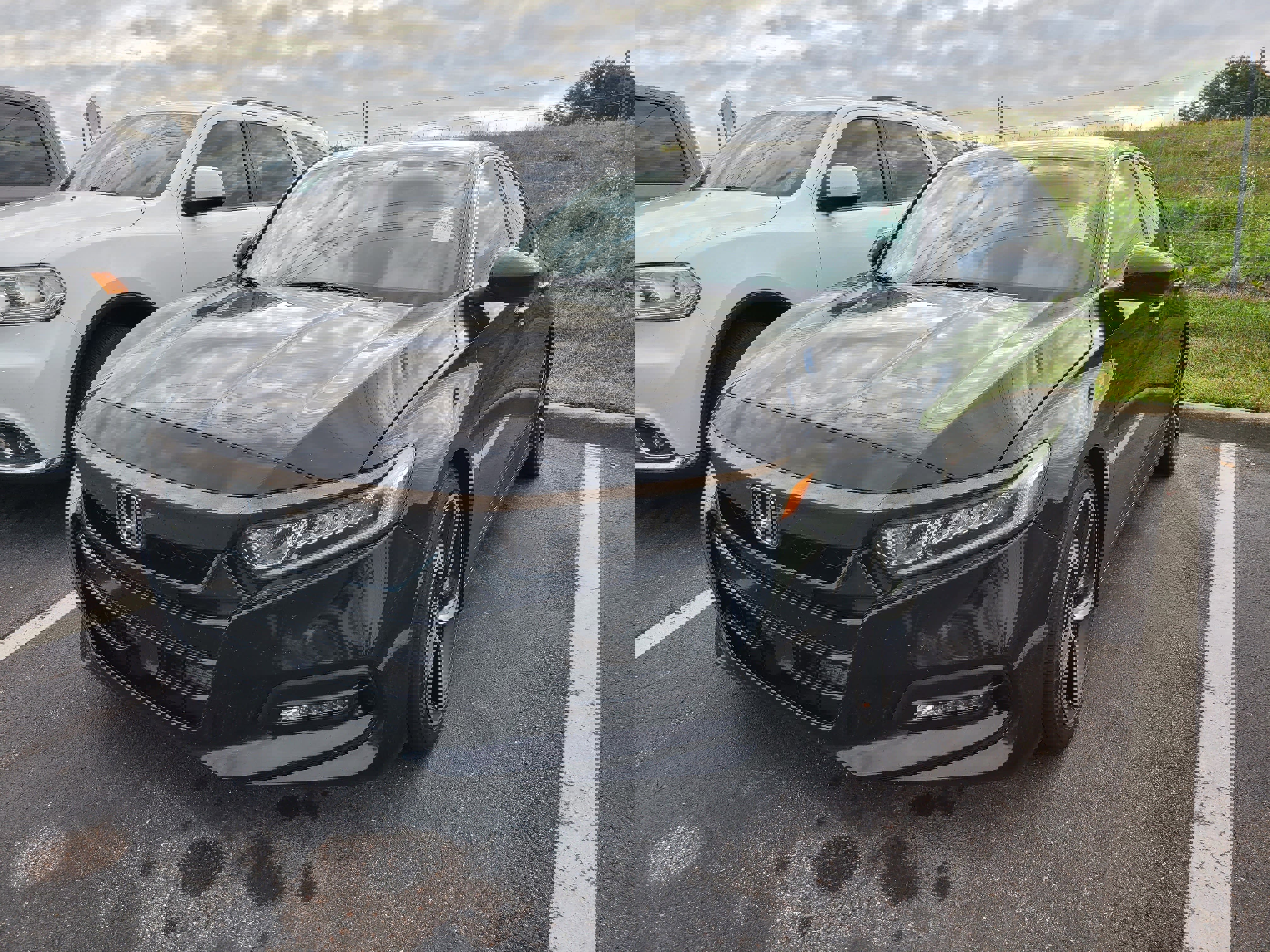 Used 2020 Honda Accord Sport image 3