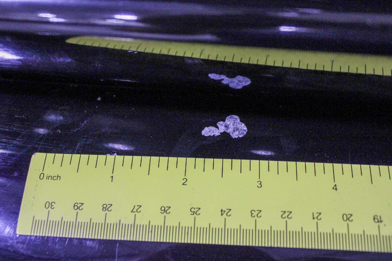 Used 1999 Dodge Dakota Sport image 24