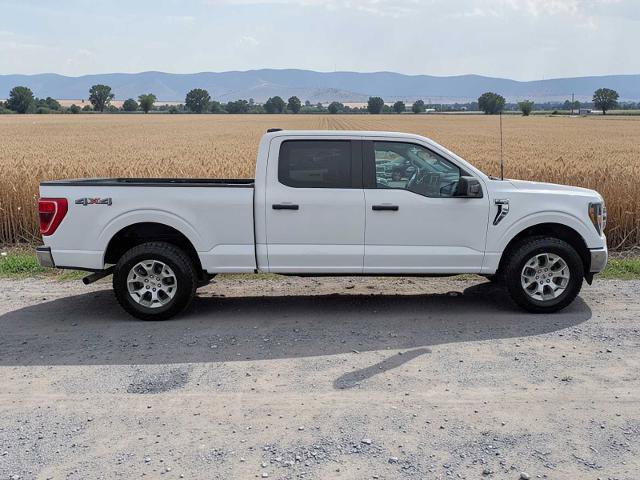 Certified 2023 Ford F150 XLT w/ Trailer Tow Package image 7