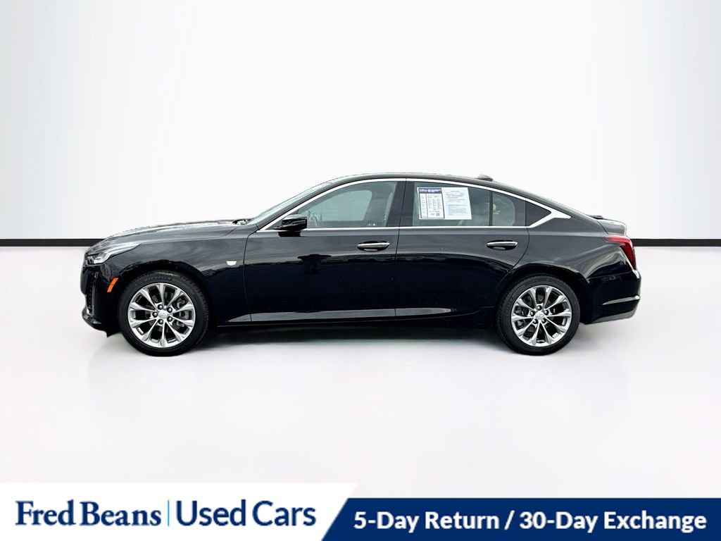 Used 2024 Cadillac CT5 Premium Luxury w/ Climate Package image 4