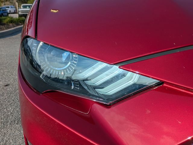 Certified 2019 Ford Mustang GT Premium w/ GT Performance Package image 10