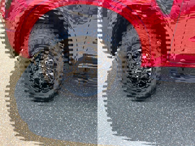 New 2025 Ford Ranger XLT w/ Equipment Group 301A High image 22