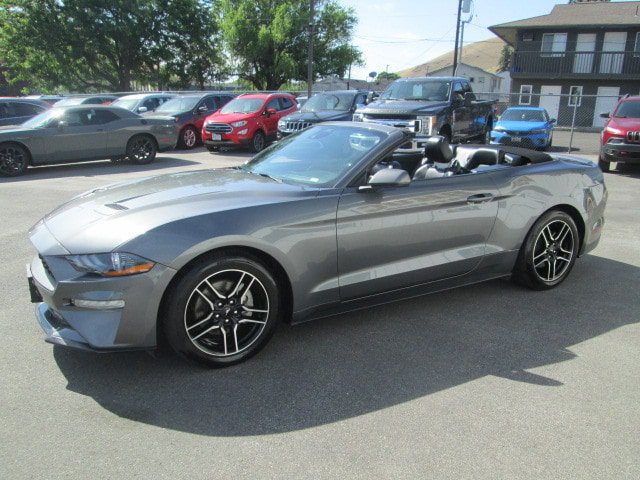 Used 2023 Ford Mustang Premium RWD image 3