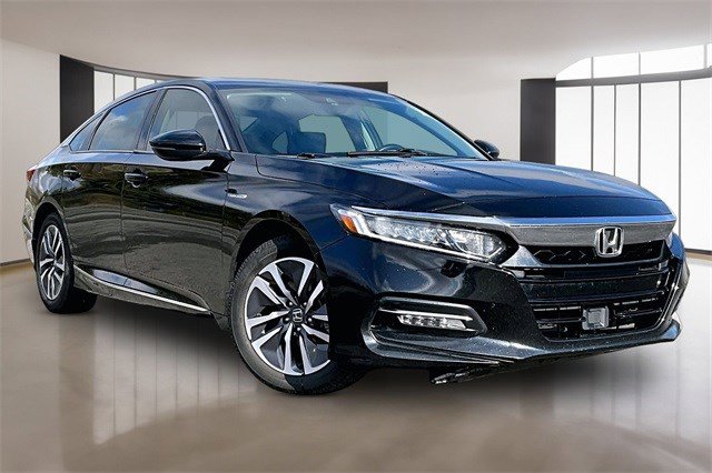 Certified 2019 Honda Accord EX-L image 3