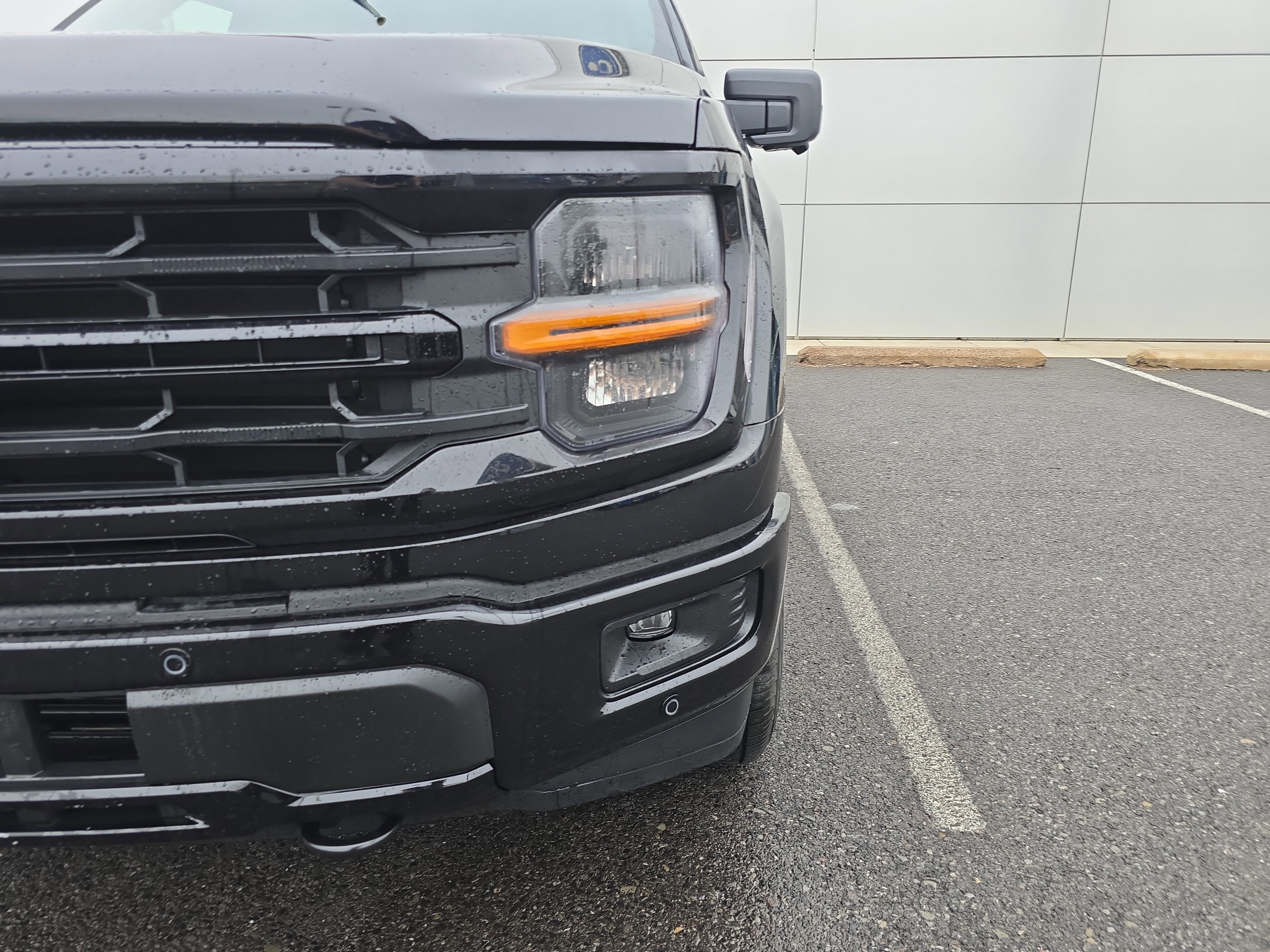 New 2025 Ford F150 XLT image 10