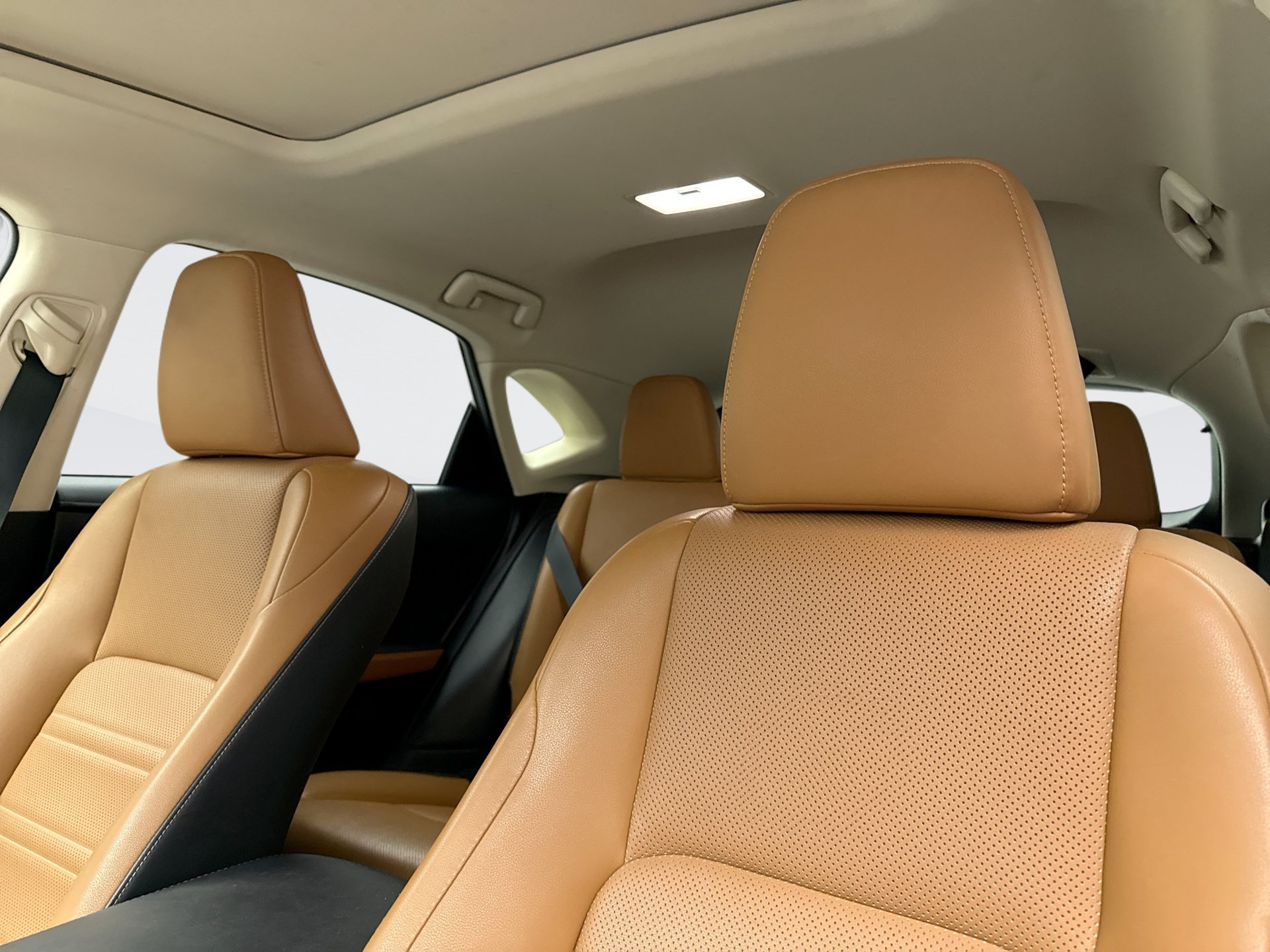 Used 2019 Lexus NX 300h AWD w/ Premium Package image 9