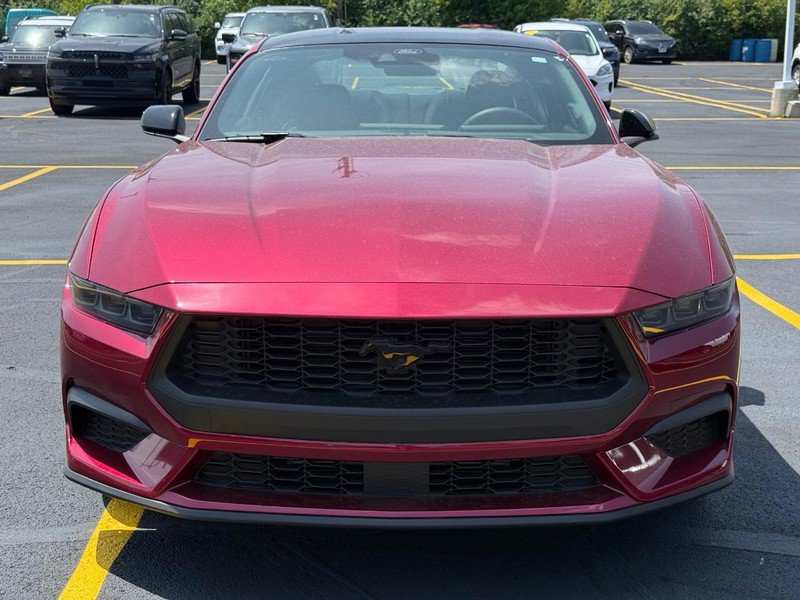 New 2026 Ford Mustang Coupe w/ Mustang Nite Pony Package RWD image 10