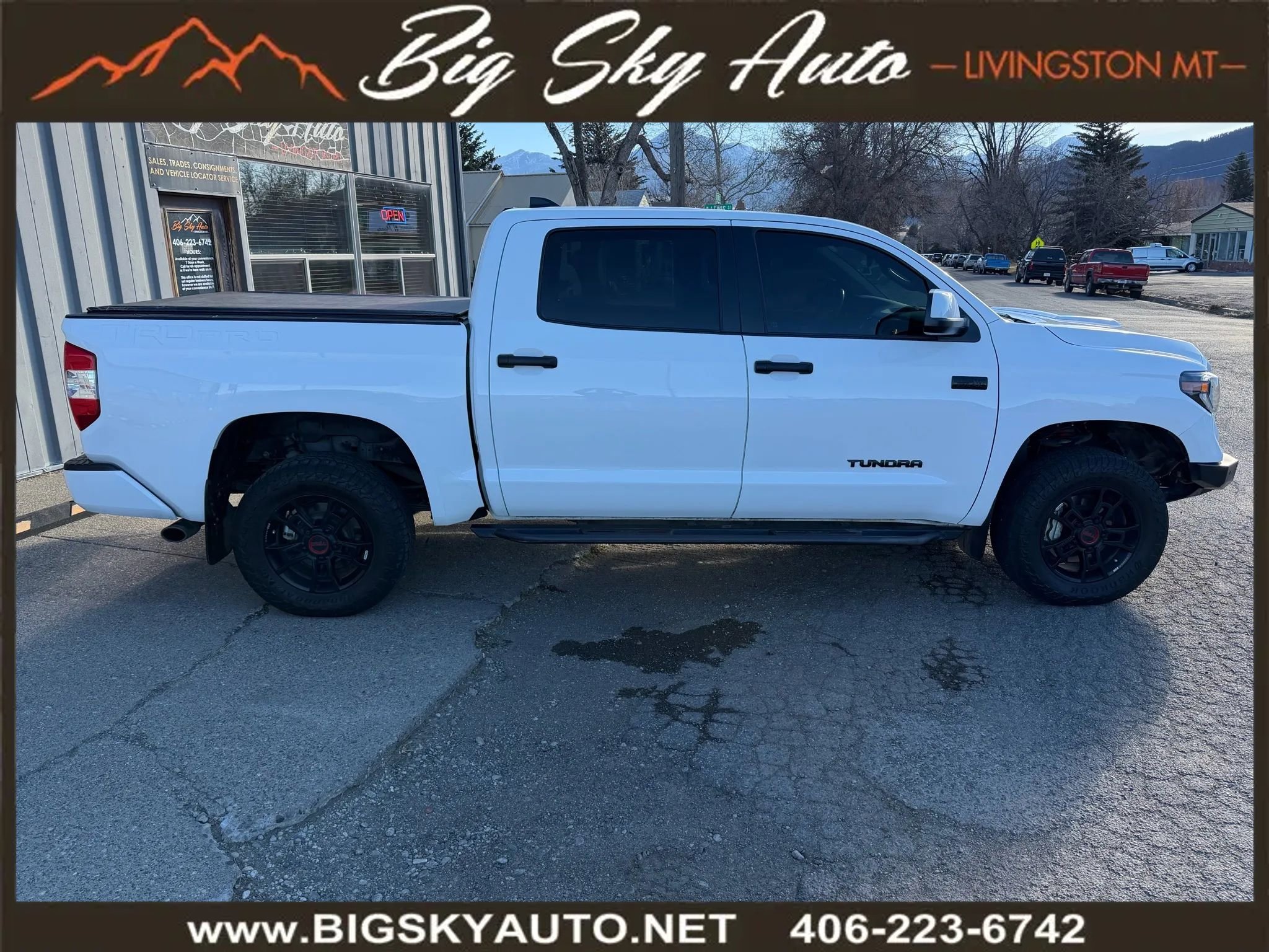 Used 2020 Toyota Tundra TRD Pro image 6