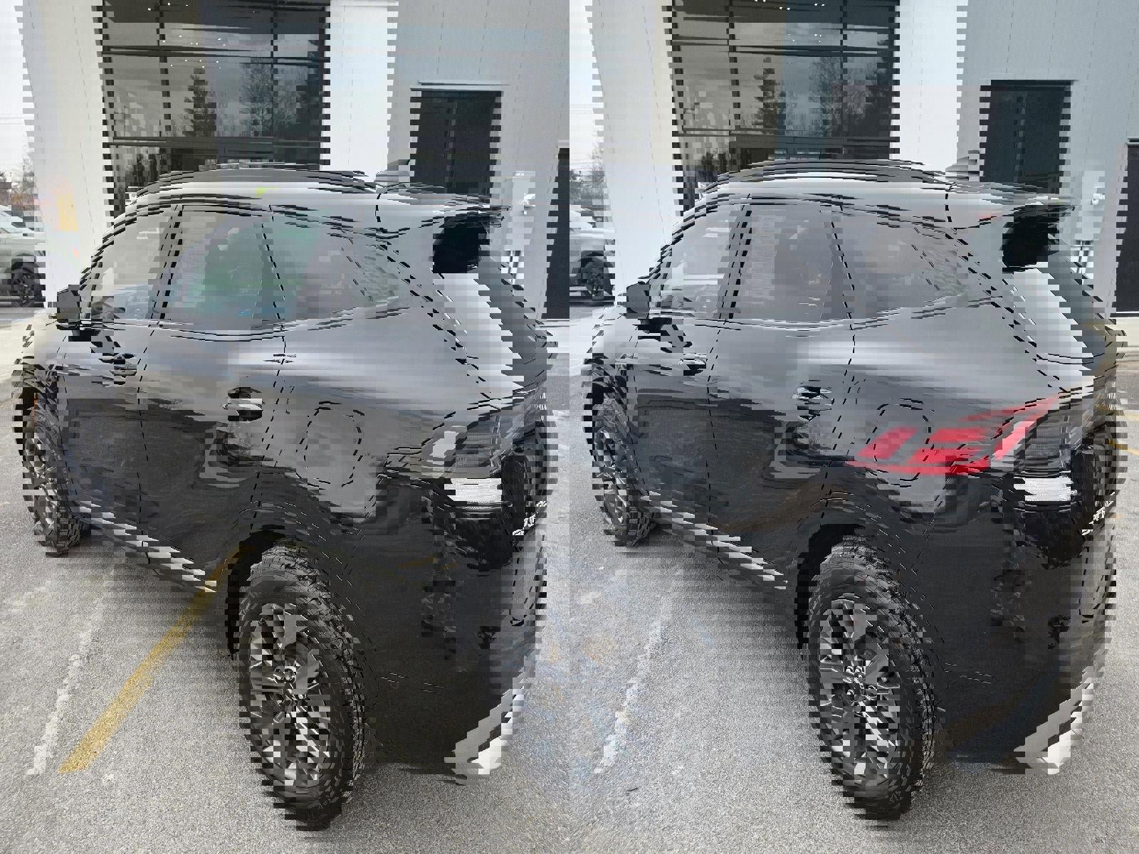 Used 2023 Kia Sportage SX Prestige image 3