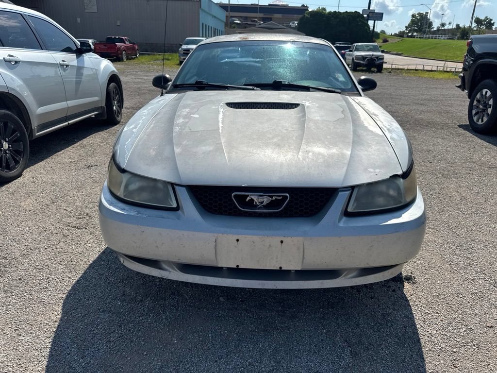 Used 2000 Ford Mustang Coupe RWD image 2