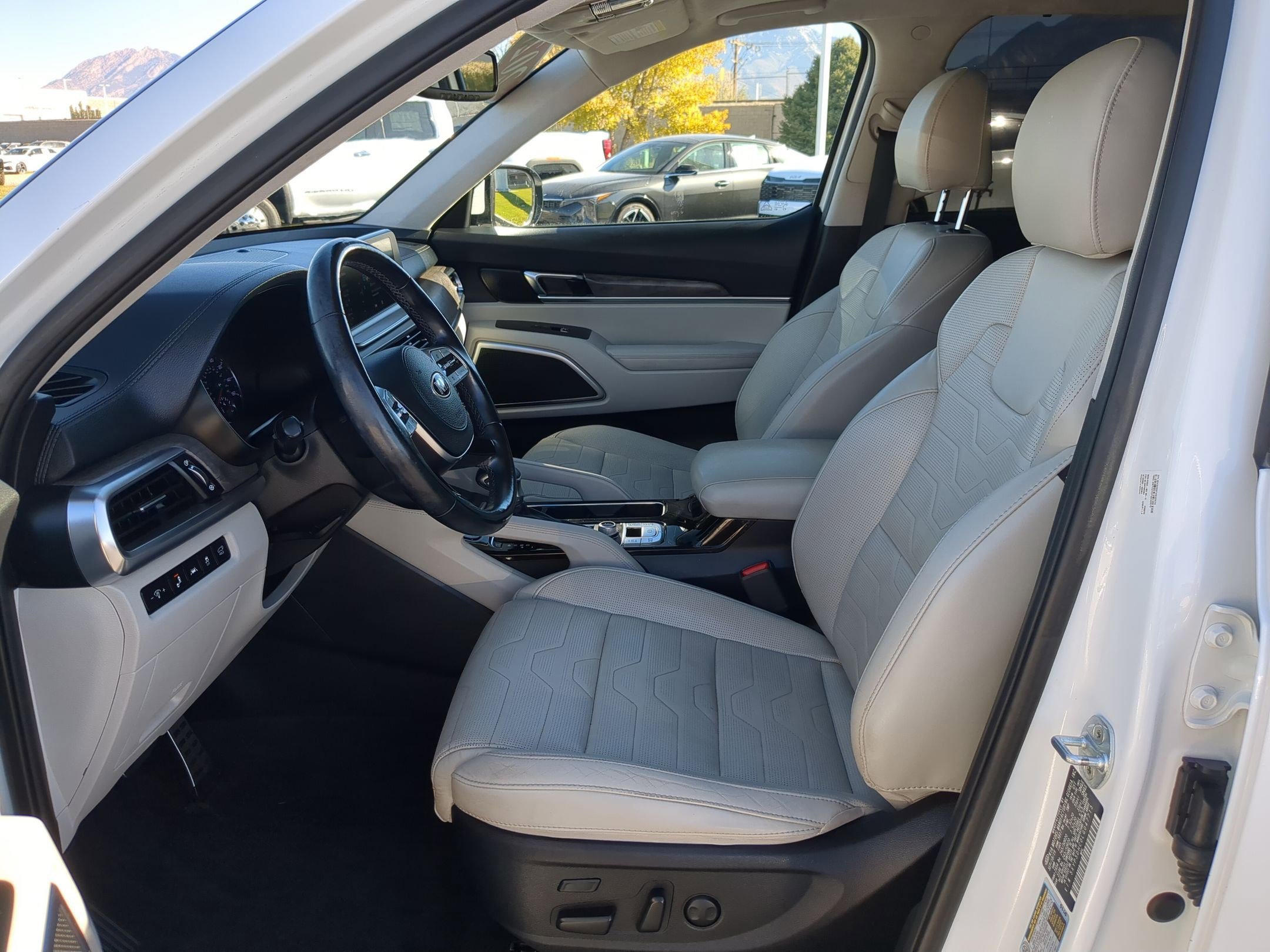 Used 2020 Kia Telluride SX w/ SX Prestige Package image 17