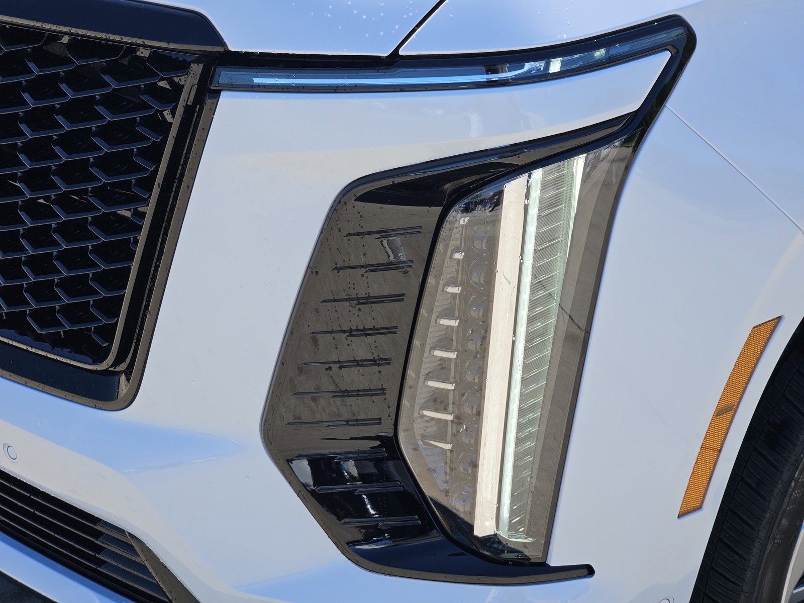 New 2026 Cadillac Escalade Sport image 5