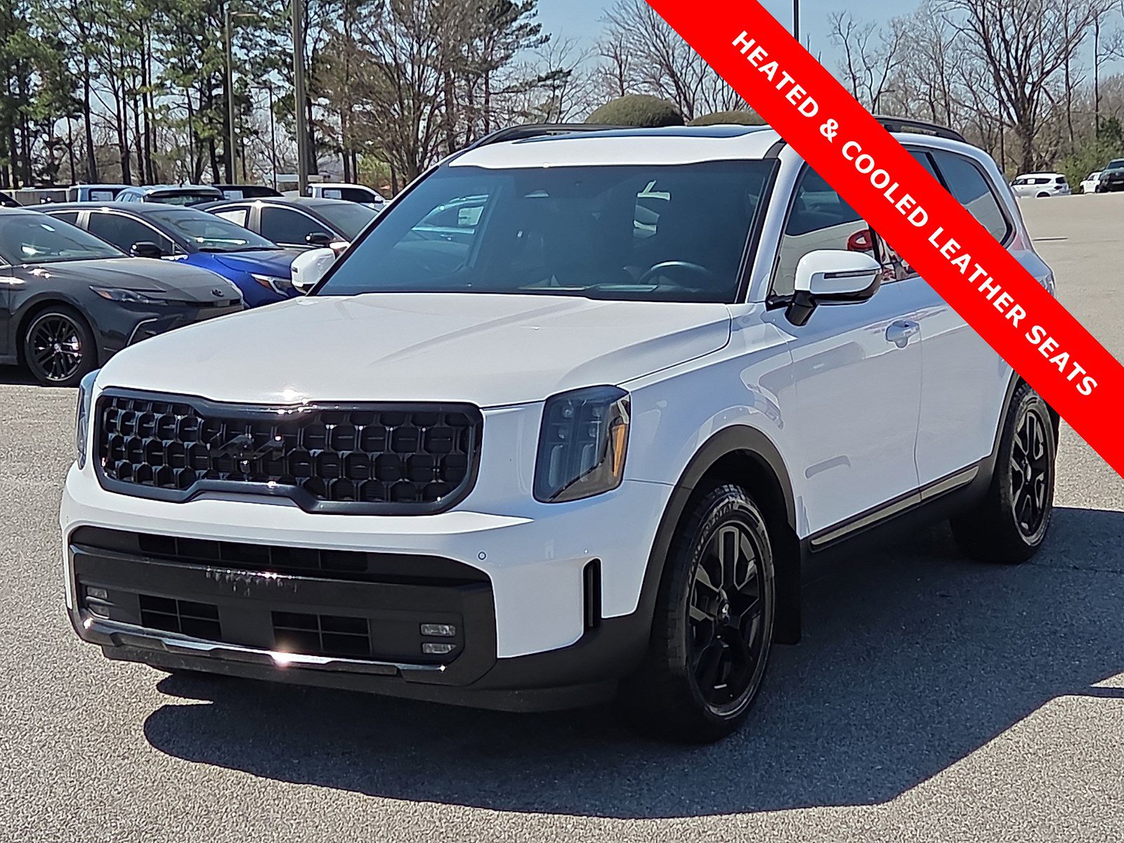Used 2024 Kia Telluride SX Prestige X-Pro image 2