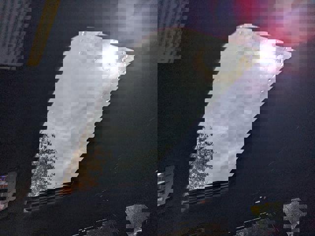 New 2026 Hyundai Palisade Calligraphy image 19