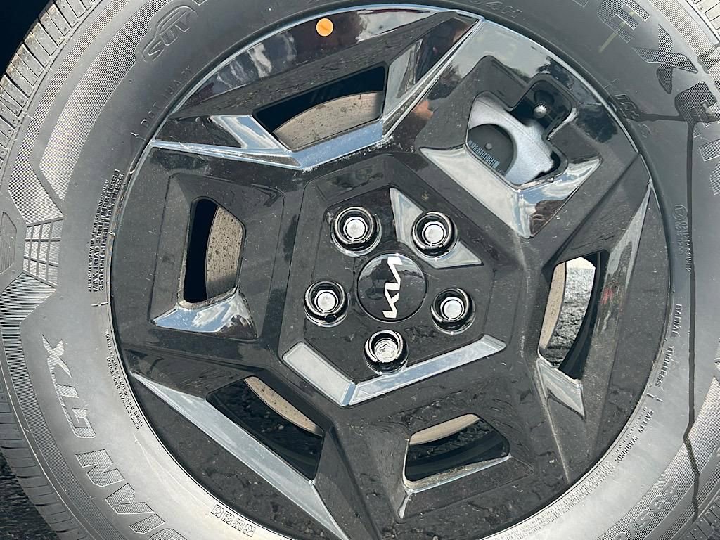 New 2025 Kia Carnival image 24