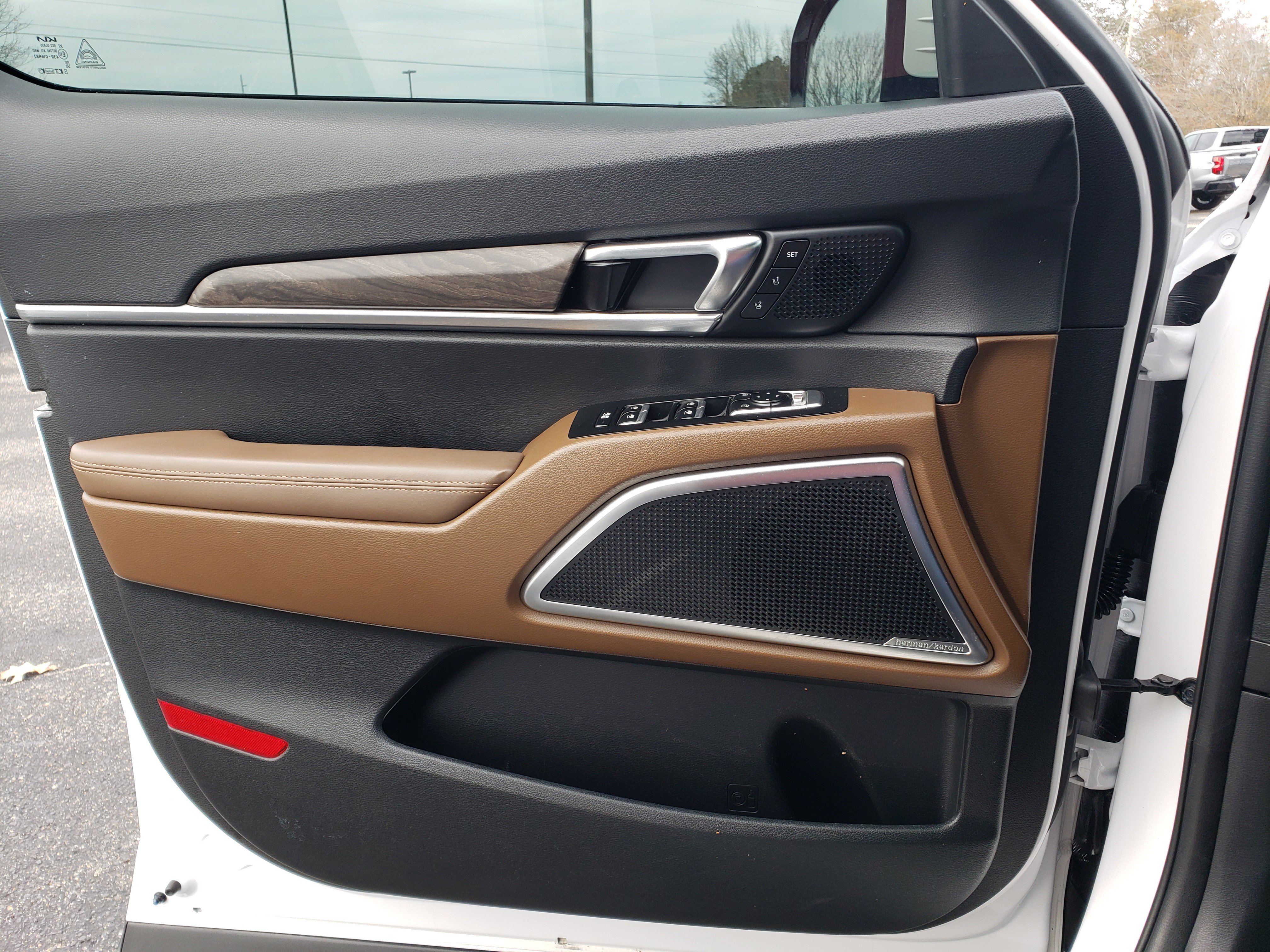 Used 2022 Kia Telluride SX w/ SX Prestige Package image 10