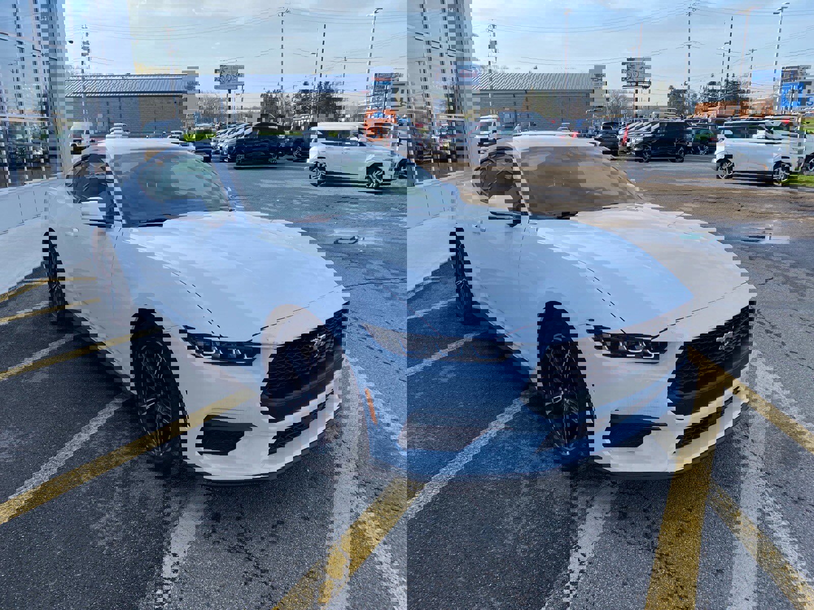 Used 2025 Ford Mustang Coupe image 7