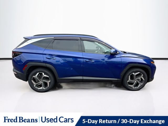 Used 2024 Hyundai Tucson Limited AWD/4WD image 10