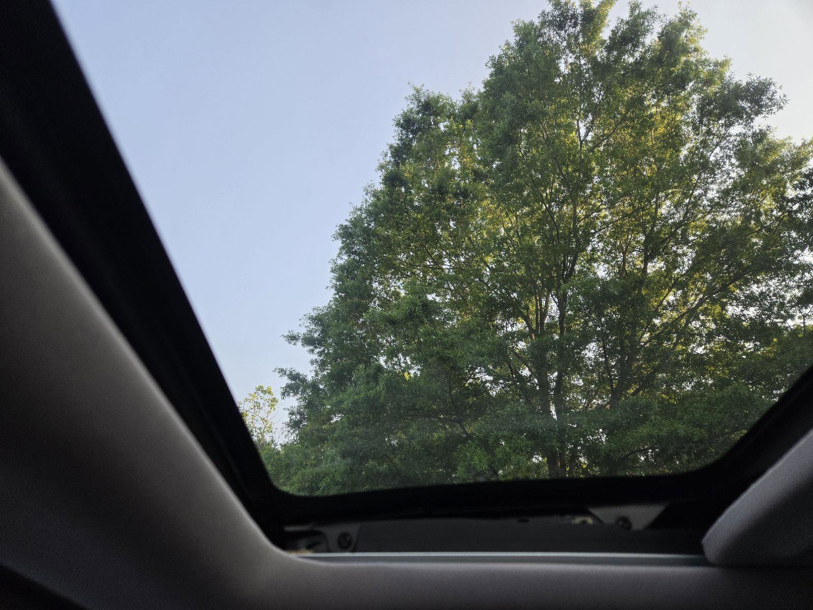 Used 2019 Honda CR-V EX-L image 36