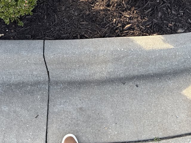 Used 2023 BMW M8 Competition image 3