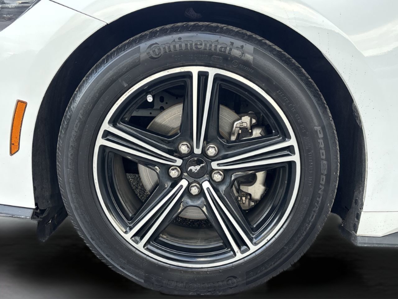 Used 2024 Ford Mustang Coupe image 31