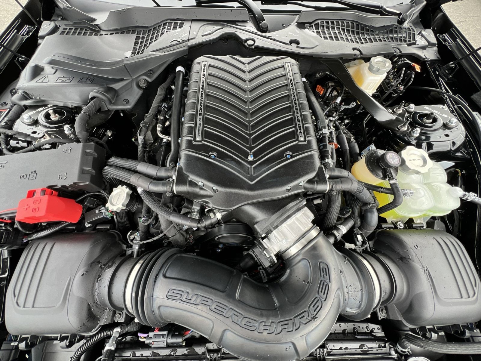 New 2025 Ford Mustang GT Premium w/ GT Performance Package RWD image 34