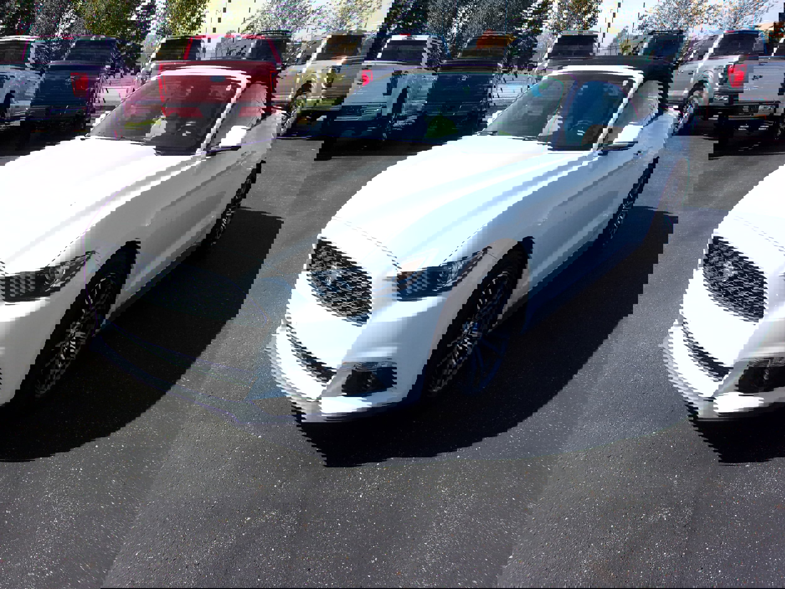 Used 2017 Ford Mustang Premium