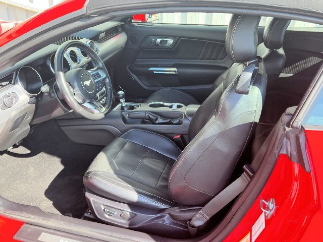 Used 2019 Ford Mustang GT Premium RWD image 10
