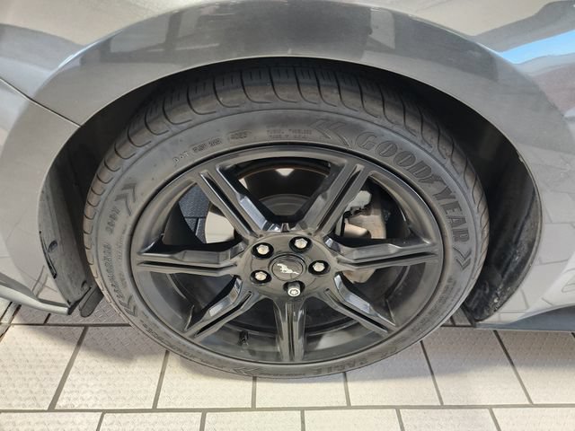 Used 2019 Ford Mustang Premium w/ Equipment Group 201A RWD image 9