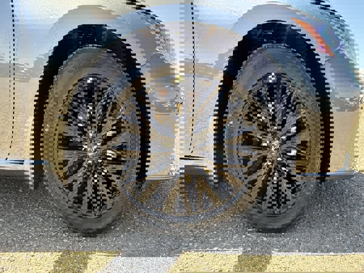 New 2025 Nissan Altima 2.5 SV w/ SV Special Edition Package image 10