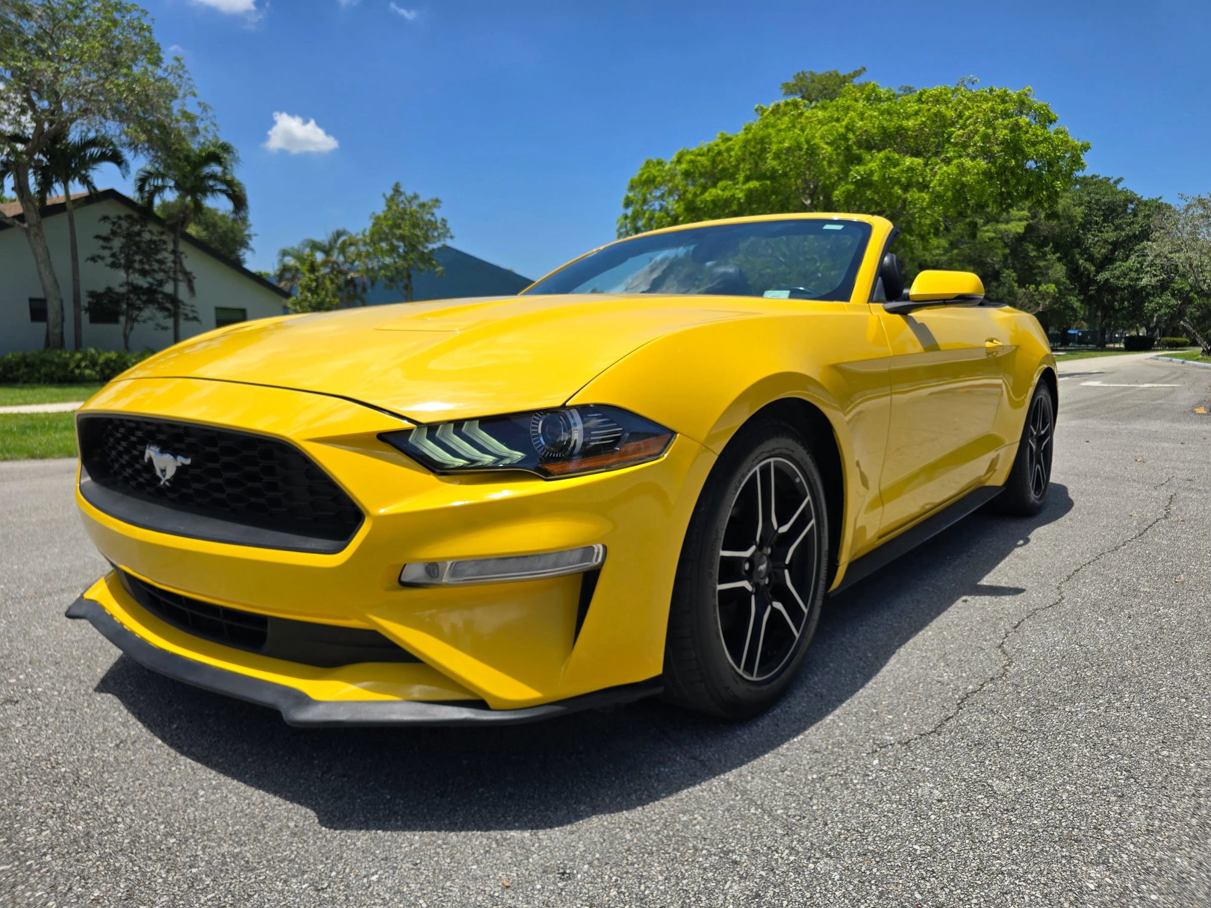 Used 2018 Ford Mustang Premium w/ Equipment Group 201A RWD image 1